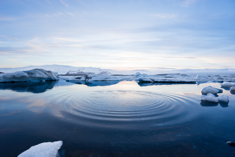 Ученые РФ участвуют в разработке биотехнологии для очищения Арктики