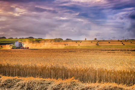 Предприятия Брянской области получили новые возможности для проверки качества зерна