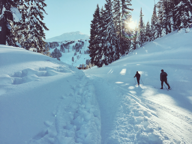 На лыжах по ГОСТу: стандарты на зимние виды спорта