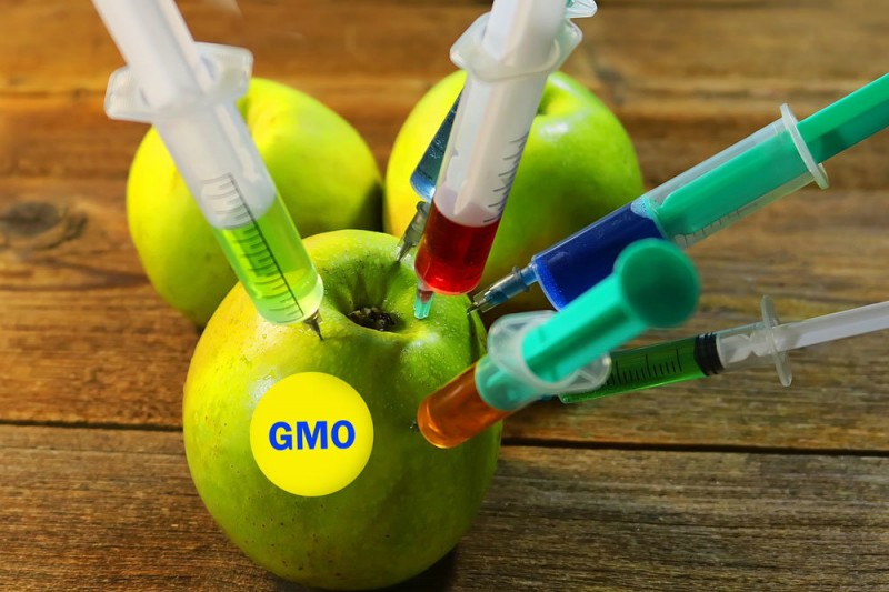 В России построят лабораторию для проверки оборудования по выявлению ГМО-продуктов