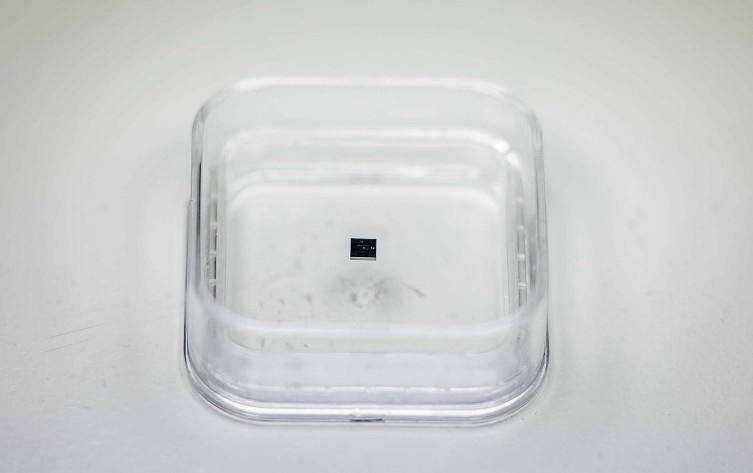 Ученые Томского политеха создали чип для проверки разрешения рентгеновских микротомографов