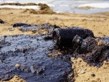 В УНИИМ подвели итоги раундов МСИ по определению нефтепродуктов в почве