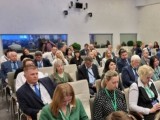 Россия и Беларусь обмениваются опытом в стандартизации «альтернативных» продуктов питания